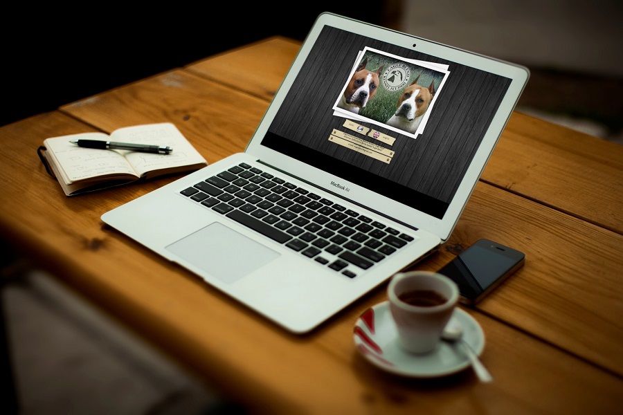 Groove portfolio - Eagle blend